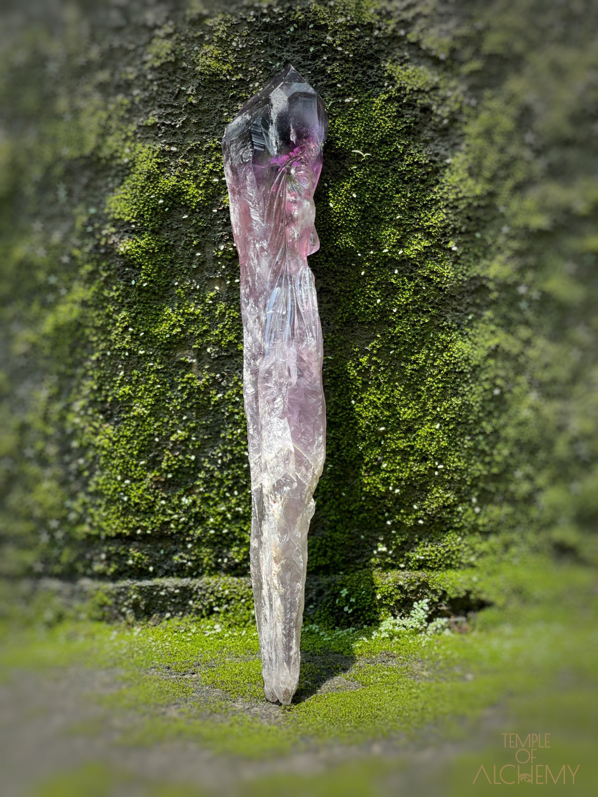 Record Keeper 𓄂♡𓆃 Phantom Ametrine