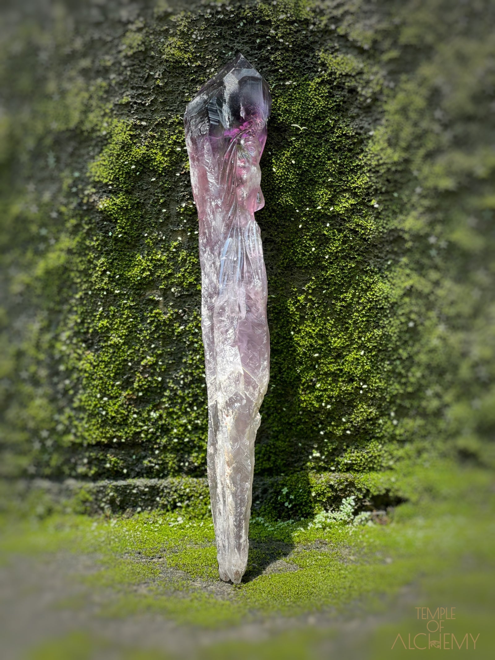 Record Keeper 𓄂♡𓆃 Phantom Ametrine