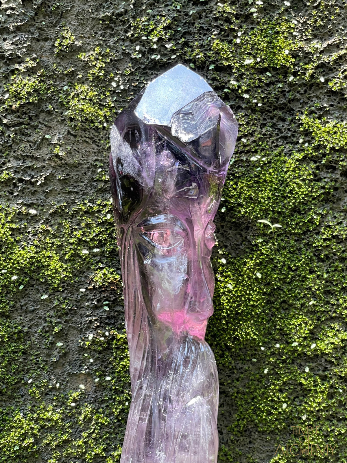 Record Keeper 𓄂♡𓆃 Phantom Ametrine