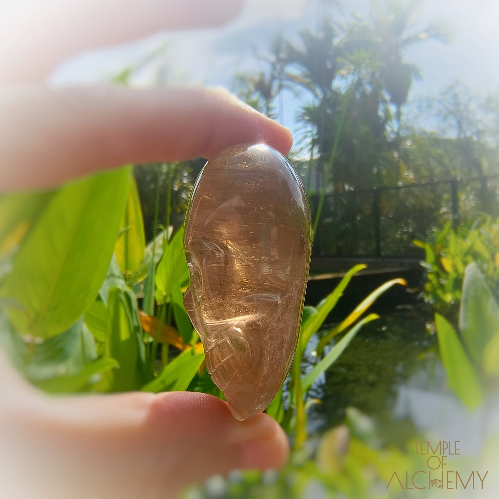 Smoky Quartz x Golden Rutiles