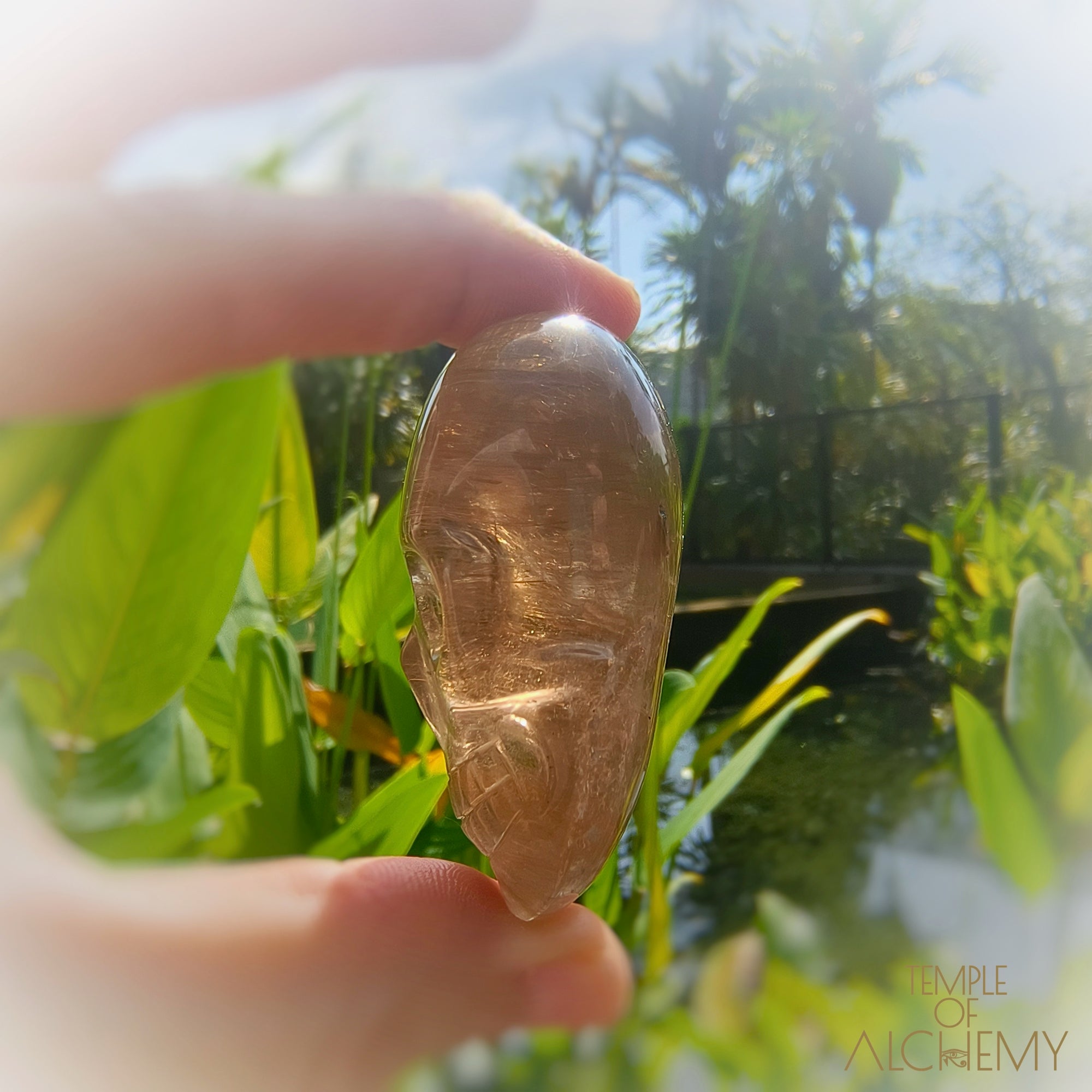 Smoky Quartz x Golden Rutiles