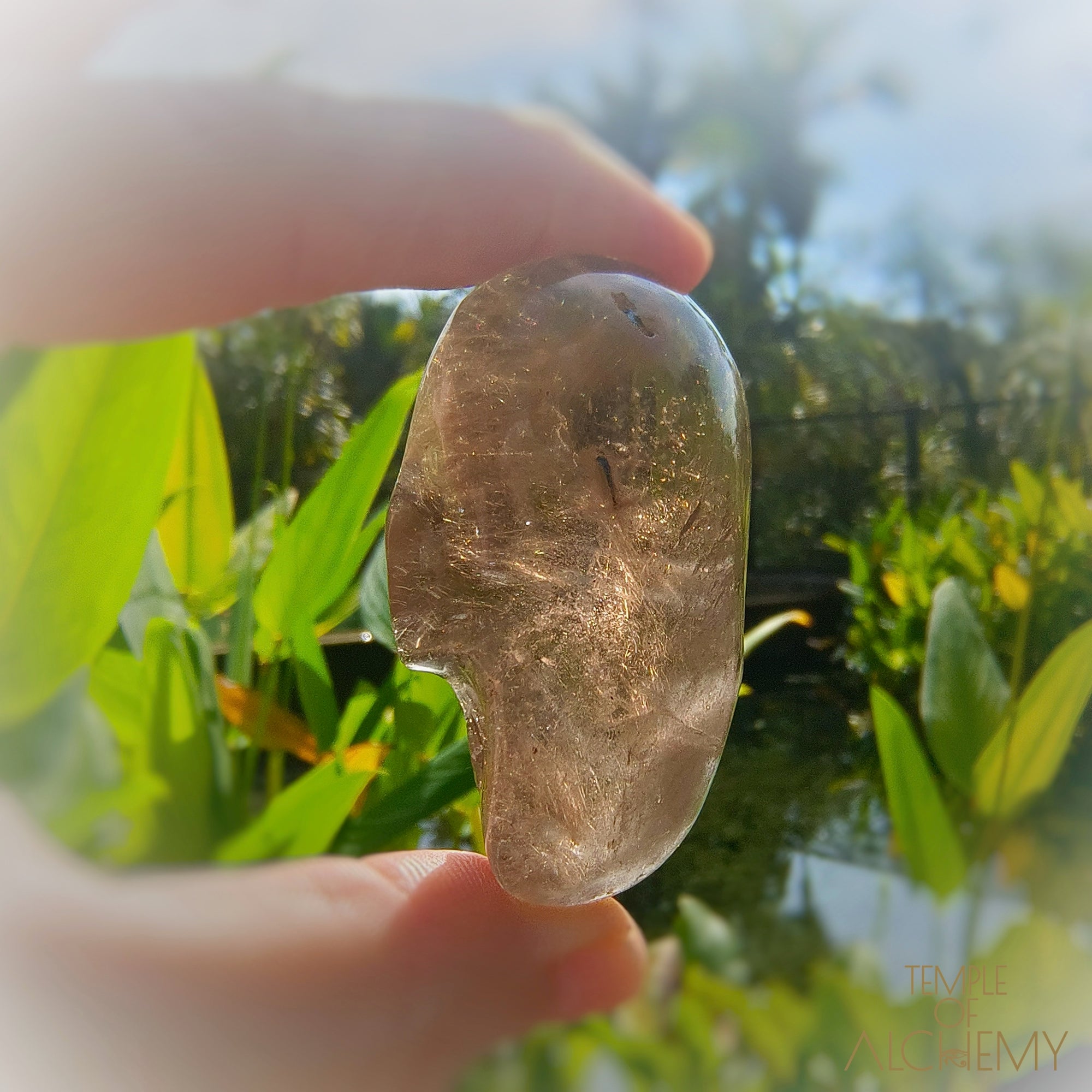 Smoky Quartz x Golden Rutiles