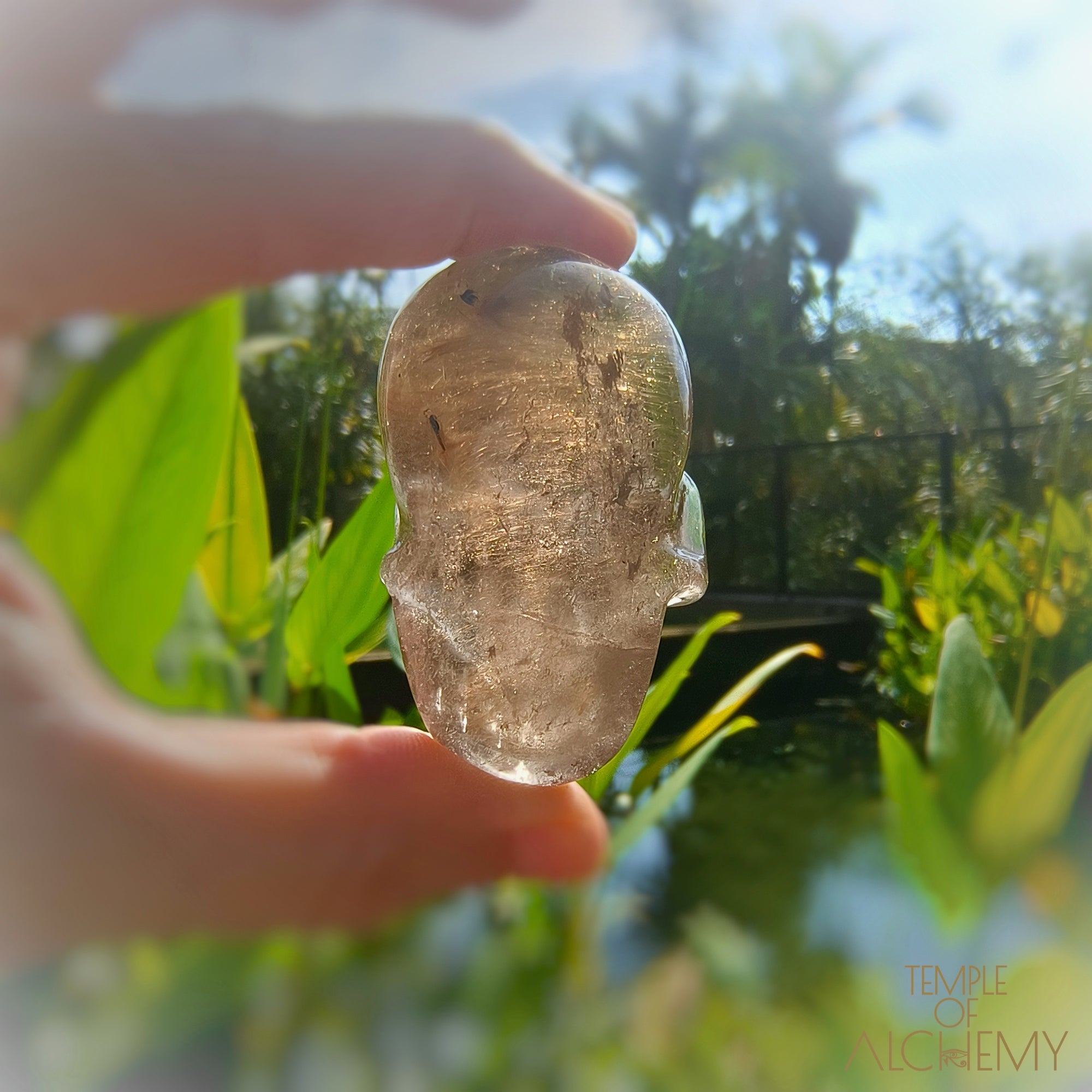 Smoky Quartz x Golden Rutiles