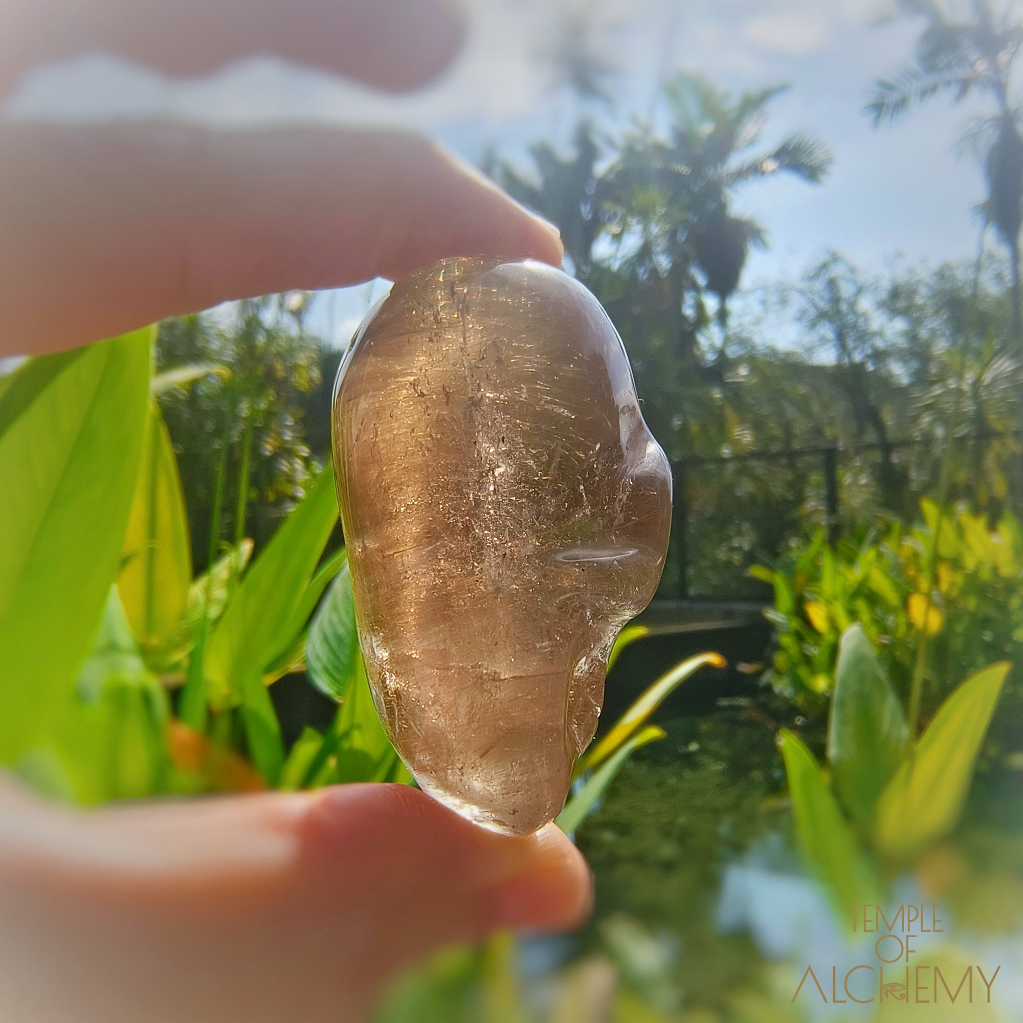 Smoky Quartz x Golden Rutiles