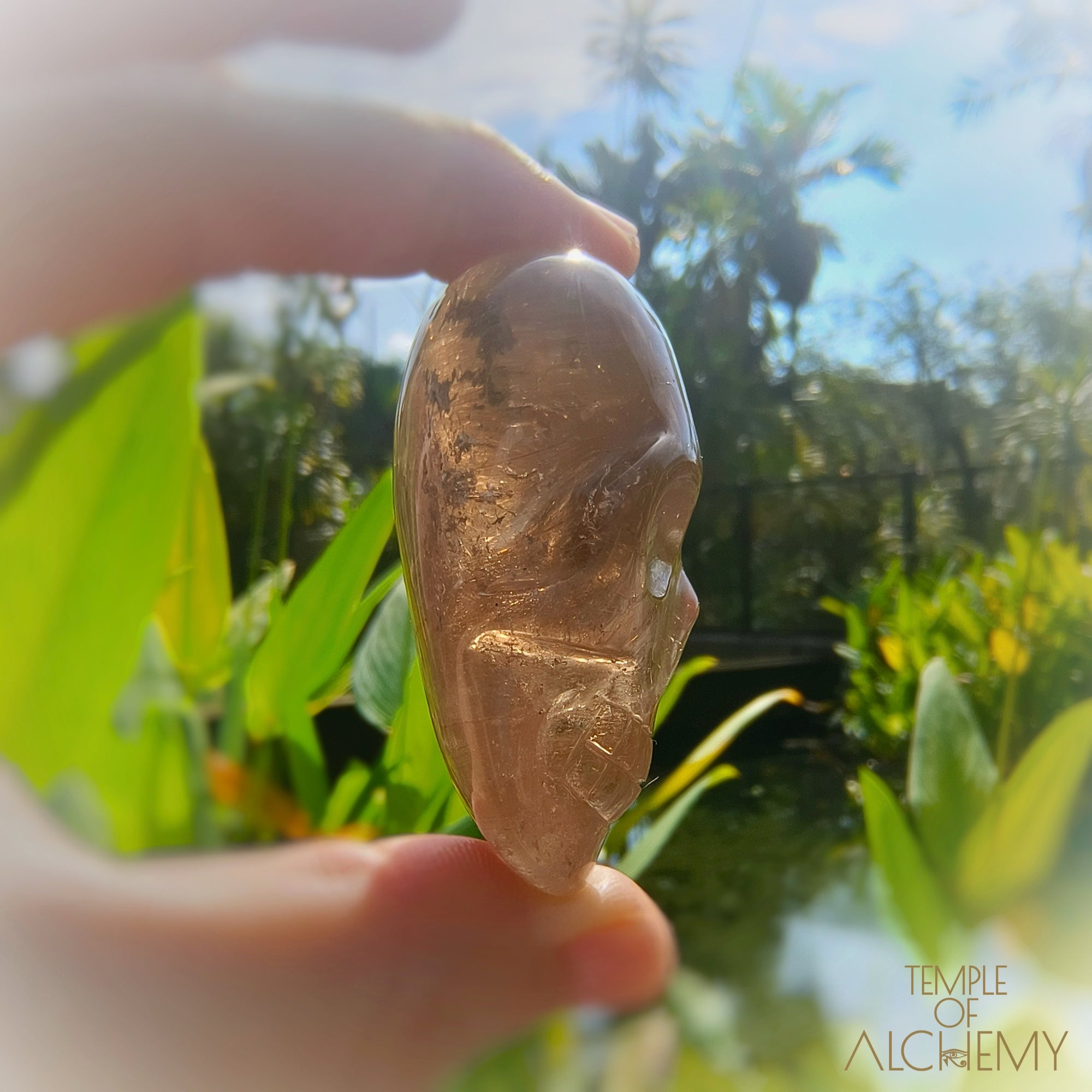 Smoky Quartz x Golden Rutiles