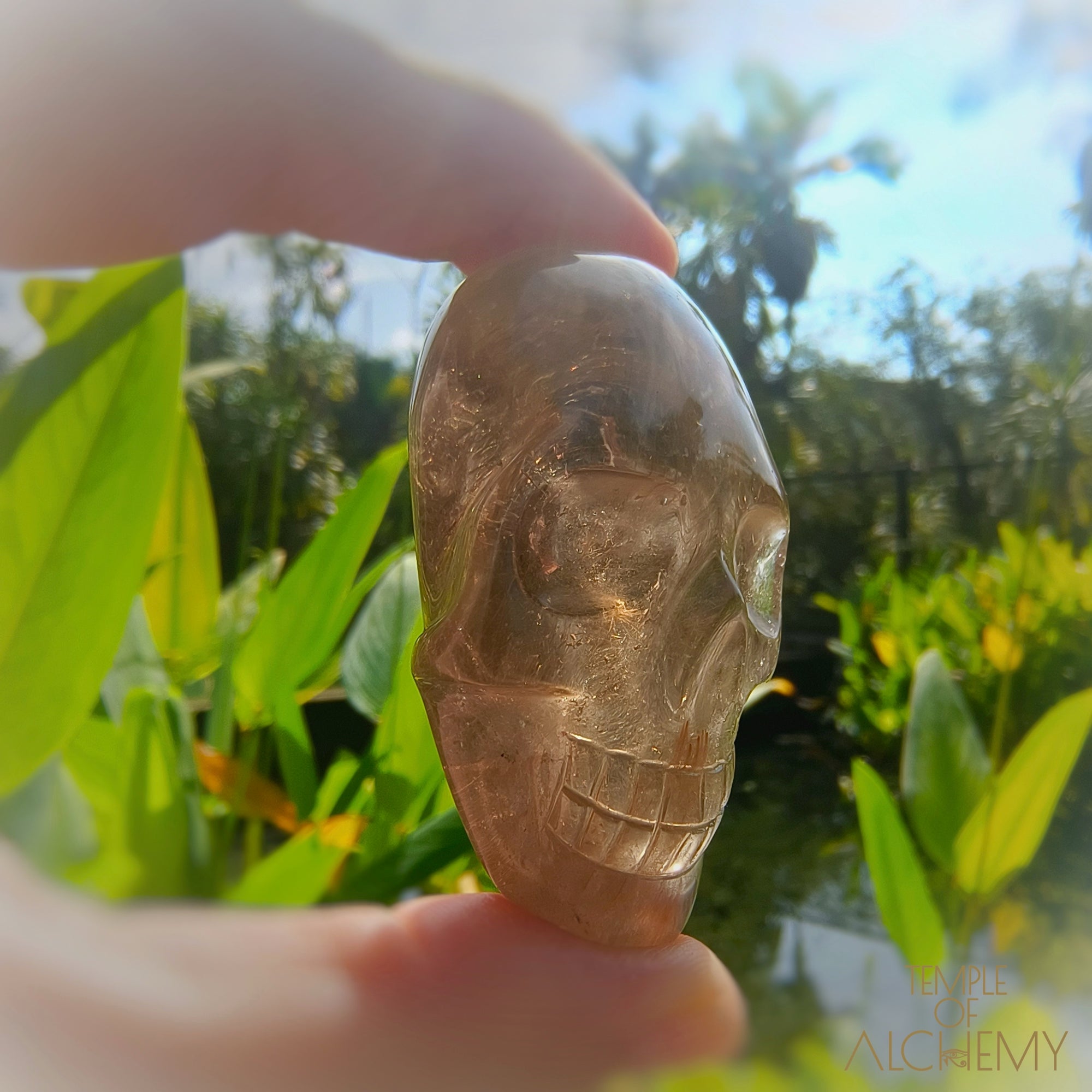 Smoky Quartz x Golden Rutiles