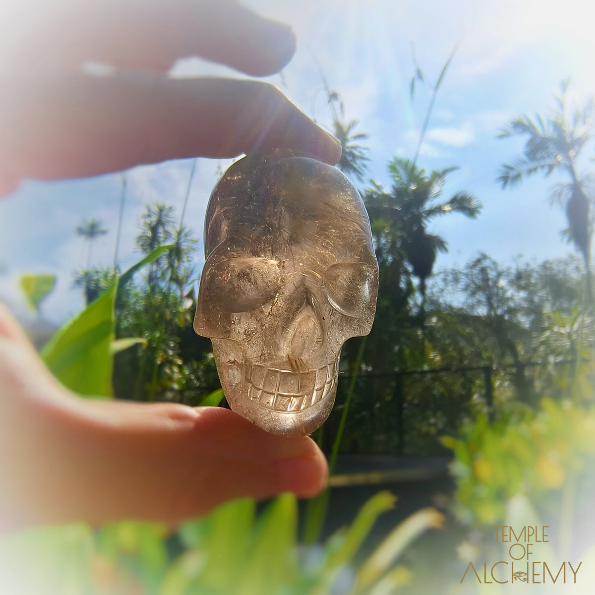 Smoky Quartz x Golden Rutiles