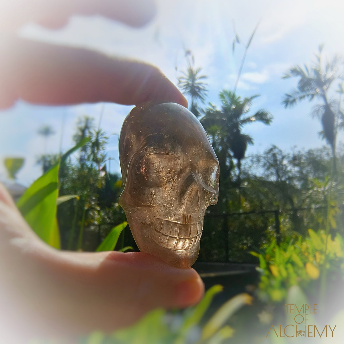 Smoky Quartz x Golden Rutiles