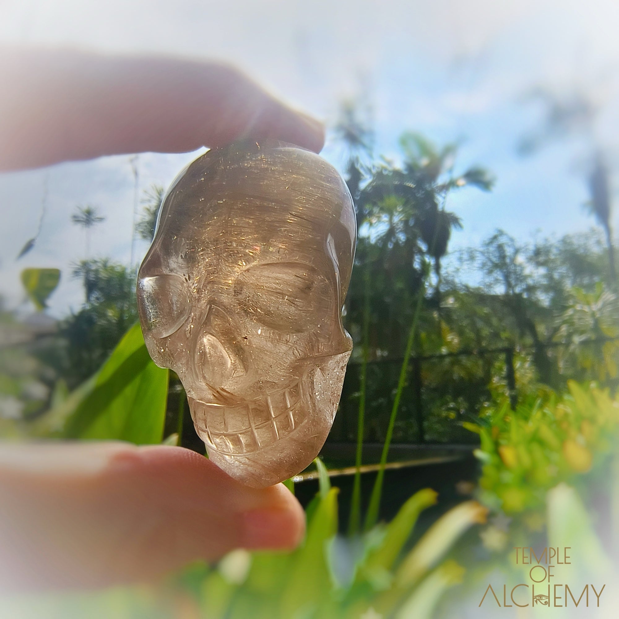 Smoky Quartz x Golden Rutiles