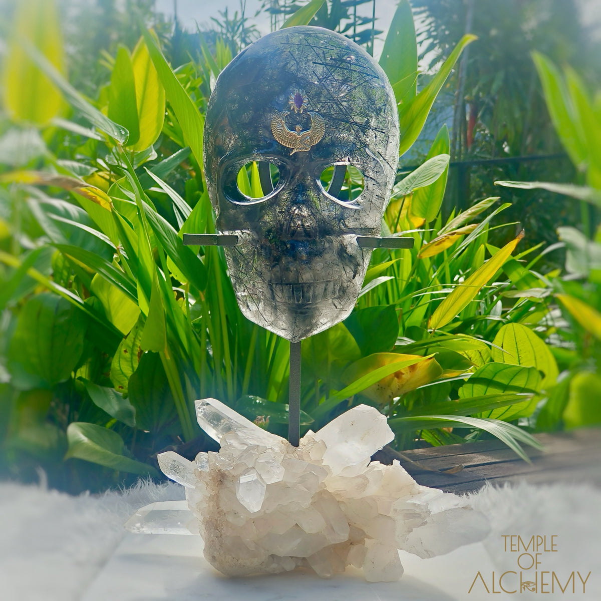 Remover of Obstacles 𓆃 Black Tourmalinated Quartz