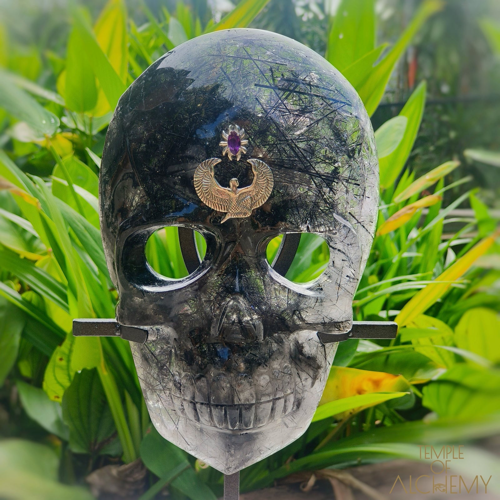 Remover of Obstacles 𓆃 Black Tourmalinated Quartz