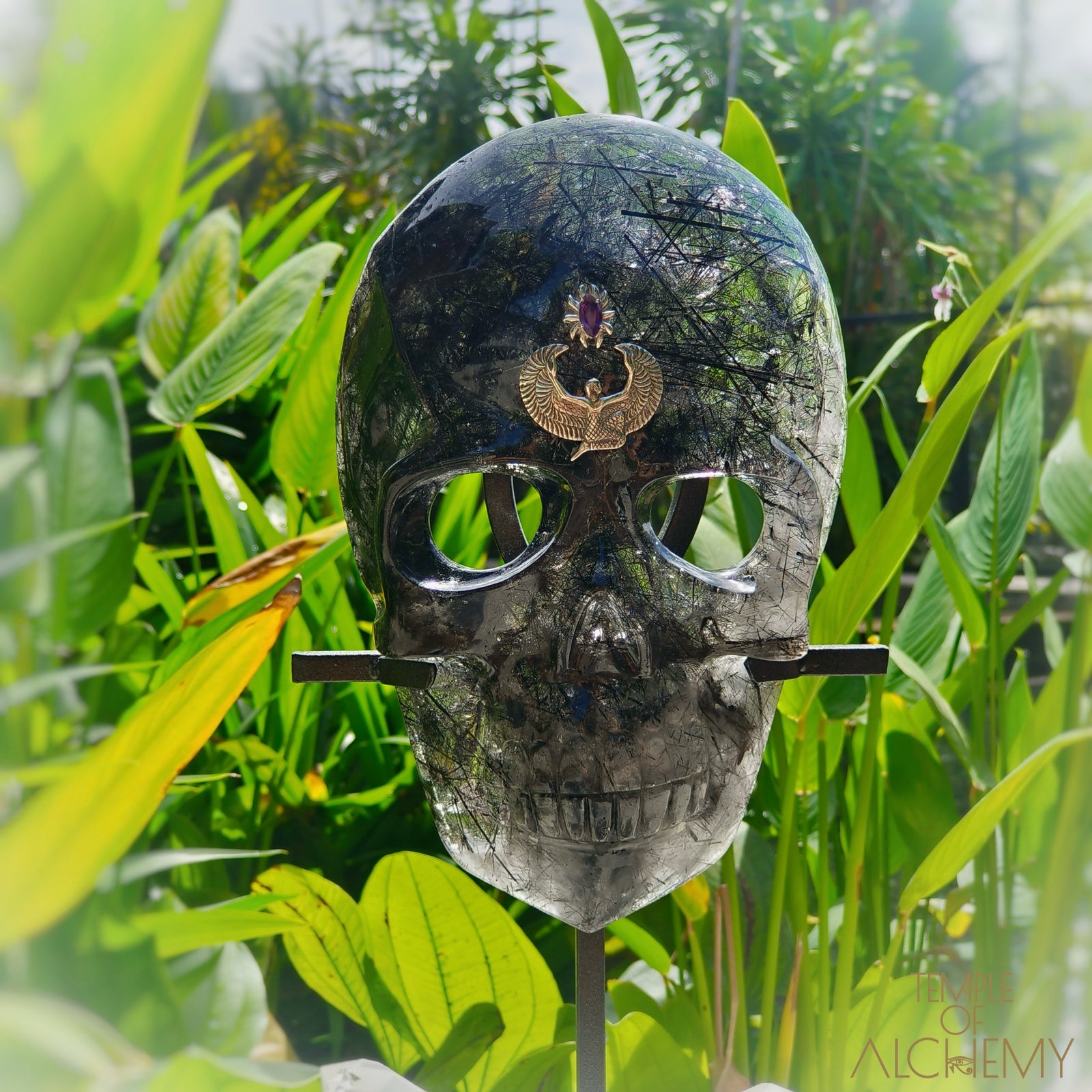 Remover of Obstacles 𓆃 Black Tourmalinated Quartz