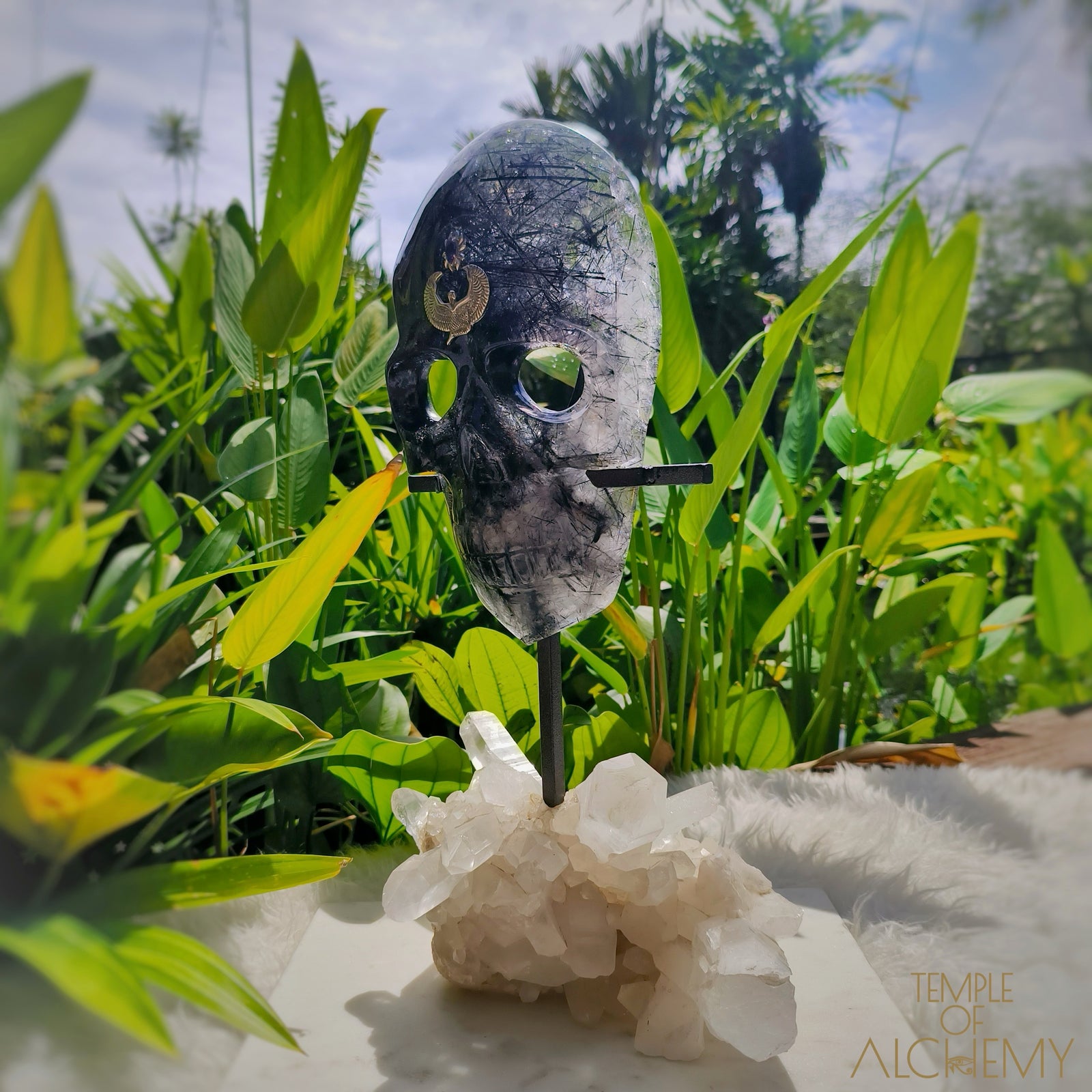 Remover of Obstacles 𓆃 Black Tourmalinated Quartz