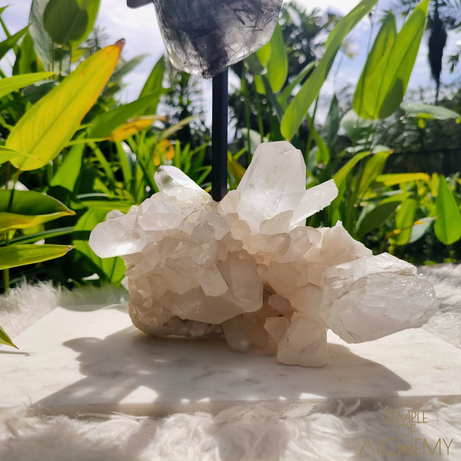 Remover of Obstacles 𓆃 Black Tourmalinated Quartz