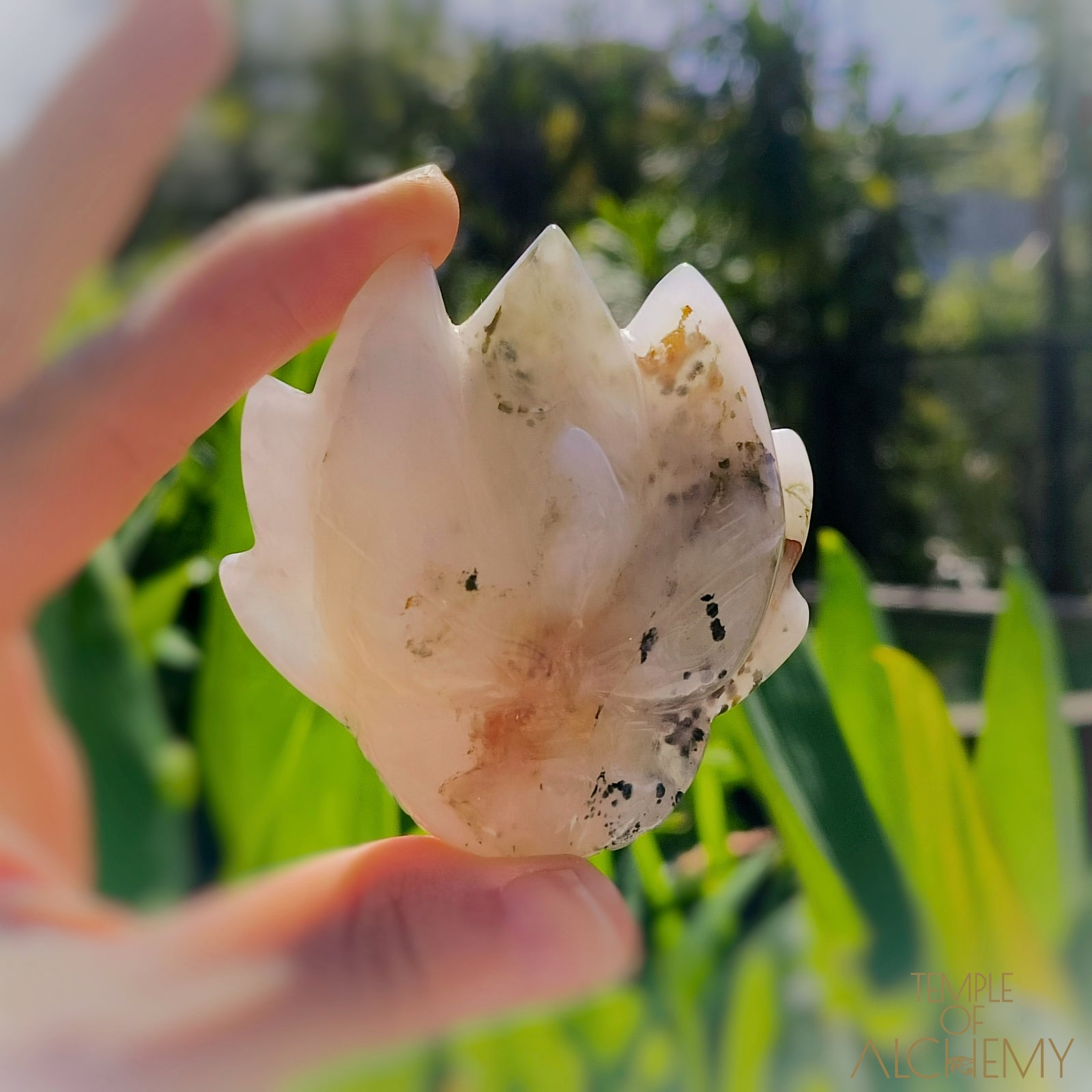 Green Chlorite x Golden Healer x Milky Quartz