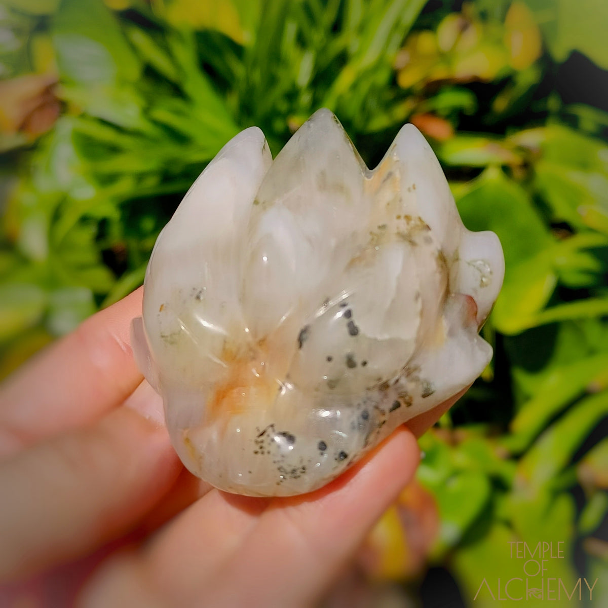 Green Chlorite x Golden Healer x Milky Quartz