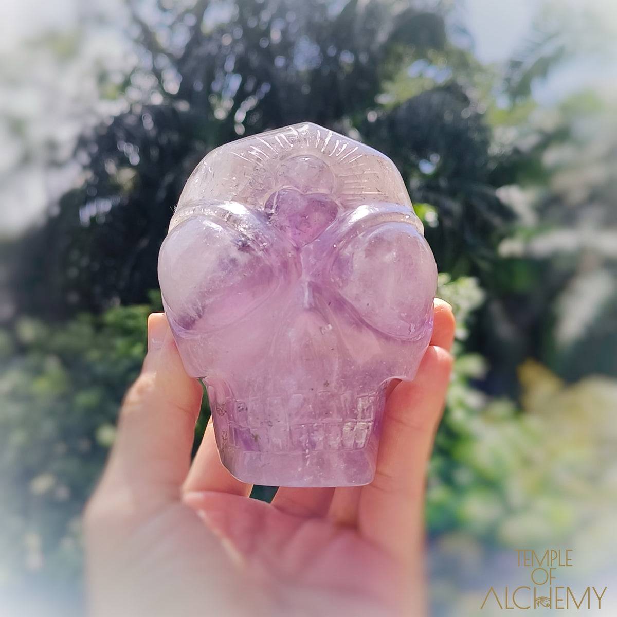 Phantom Amethyst