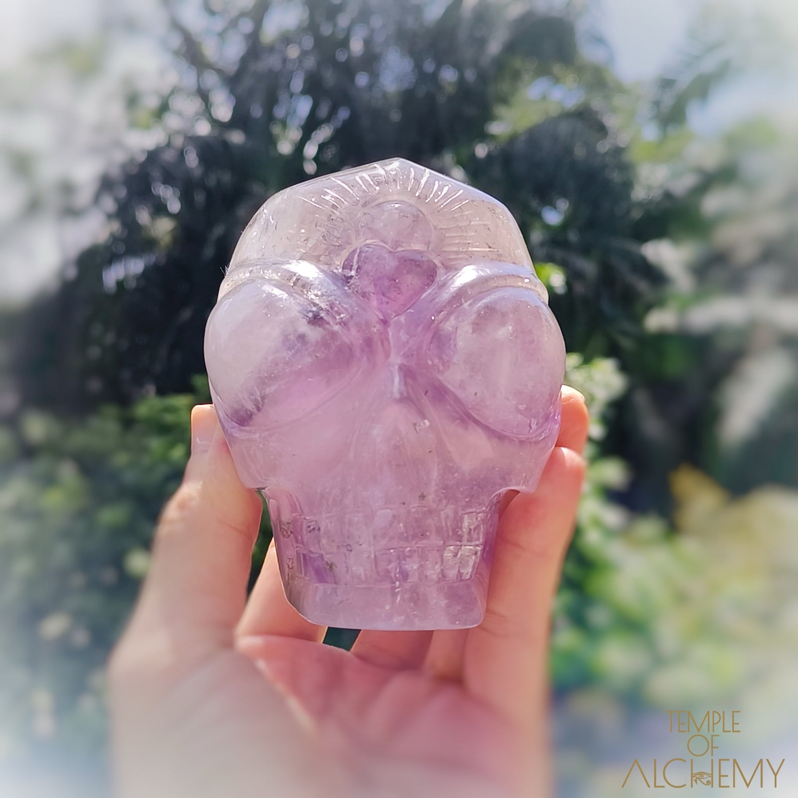Phantom Amethyst