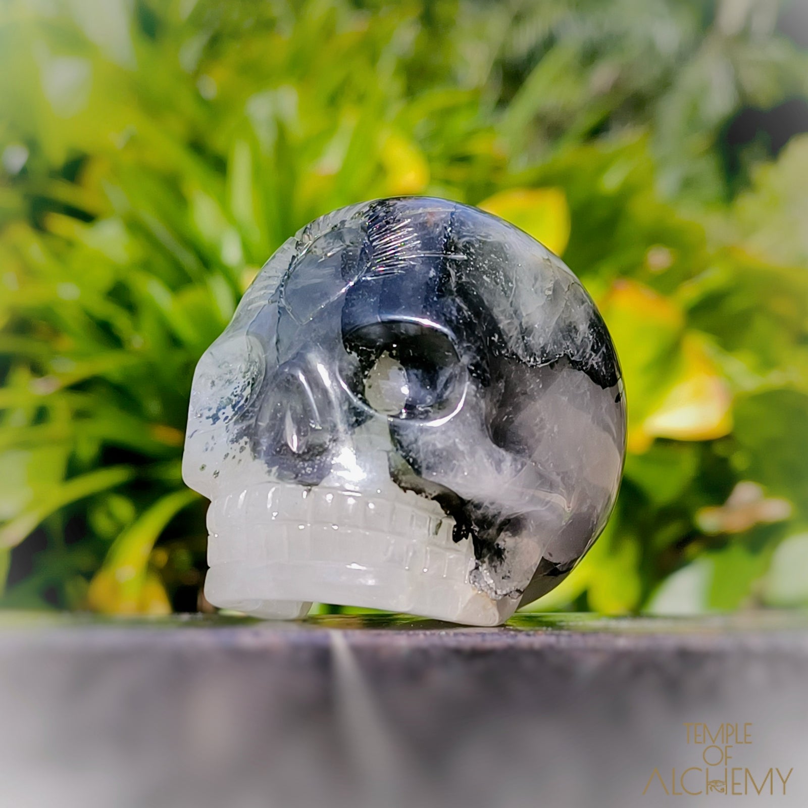 Green Chlorite x Golden Healer x Milky Quartz