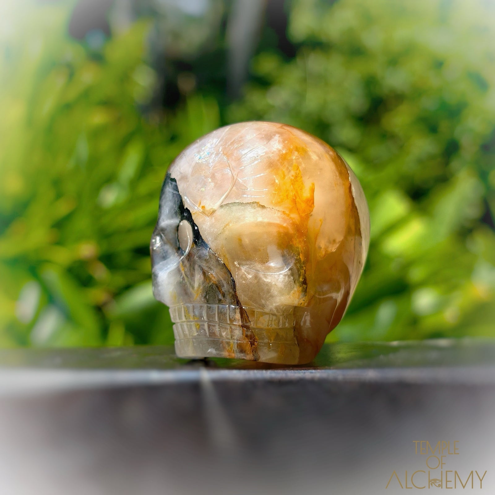 Green Chlorite x Golden Healer x Milky Quartz