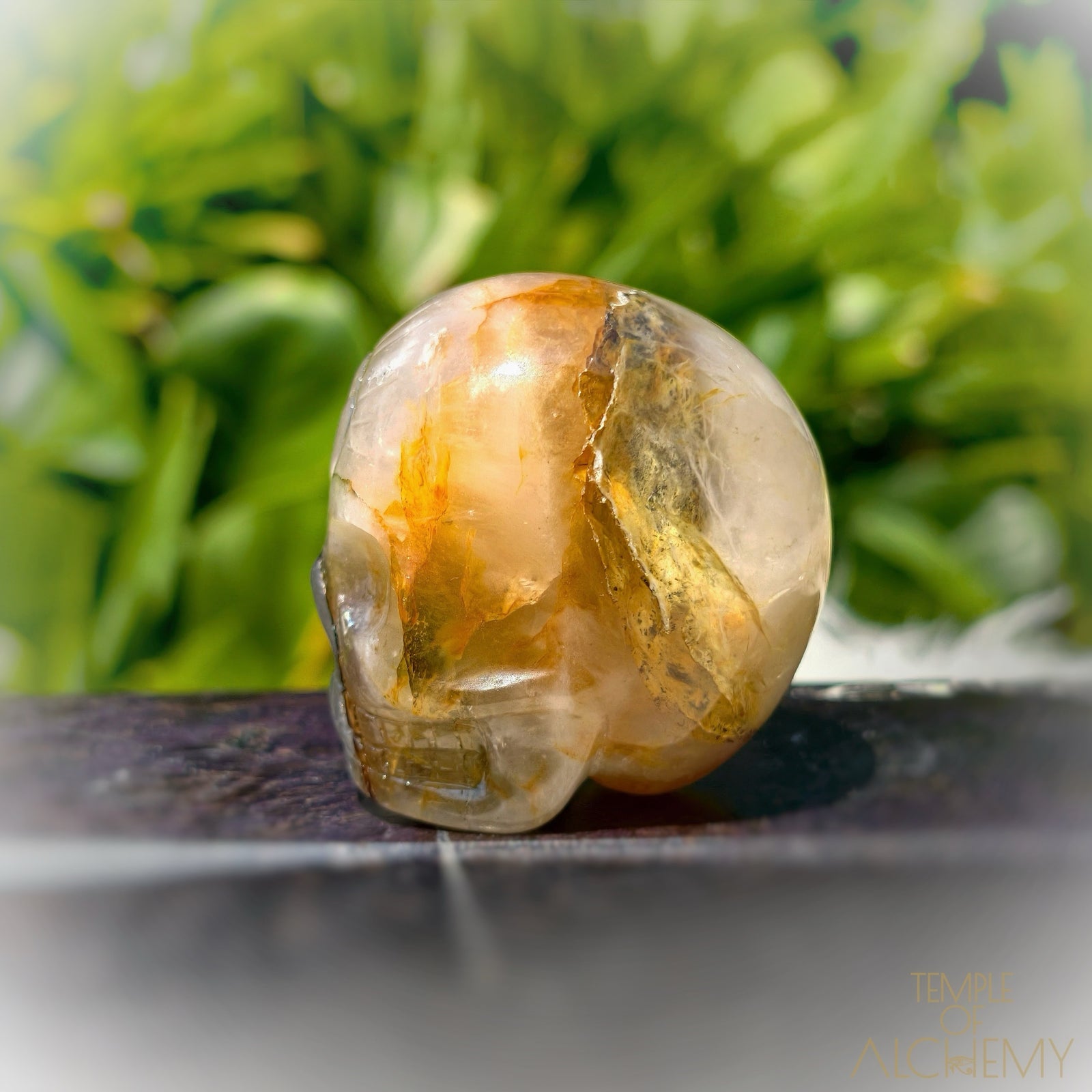 Green Chlorite x Golden Healer x Milky Quartz