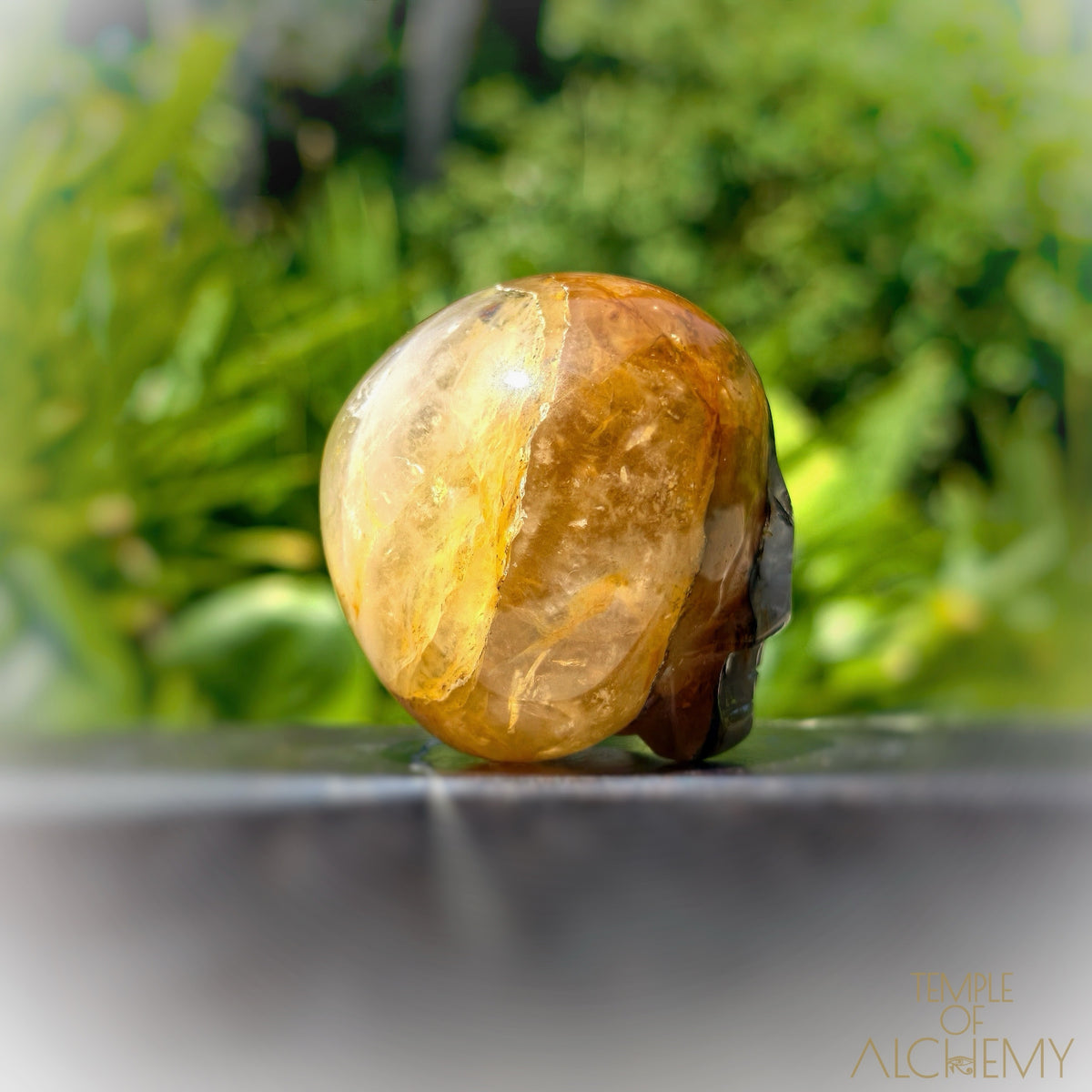 Green Chlorite x Golden Healer x Milky Quartz