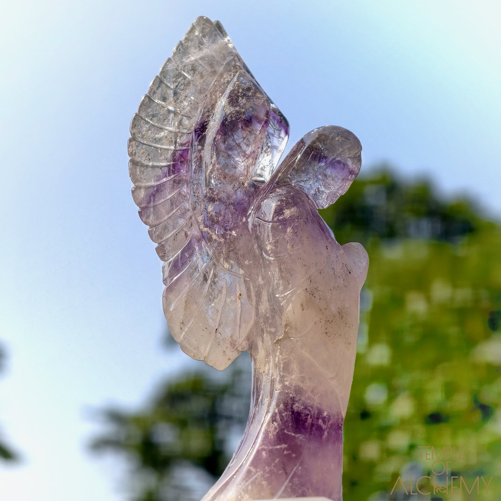 Phantom Amethyst
