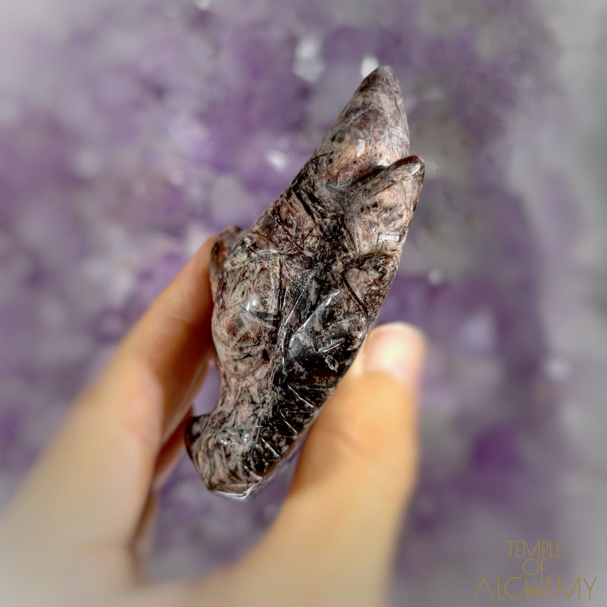 Fascia Jasper