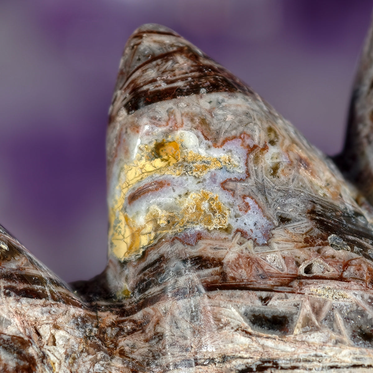 Fascia Jasper