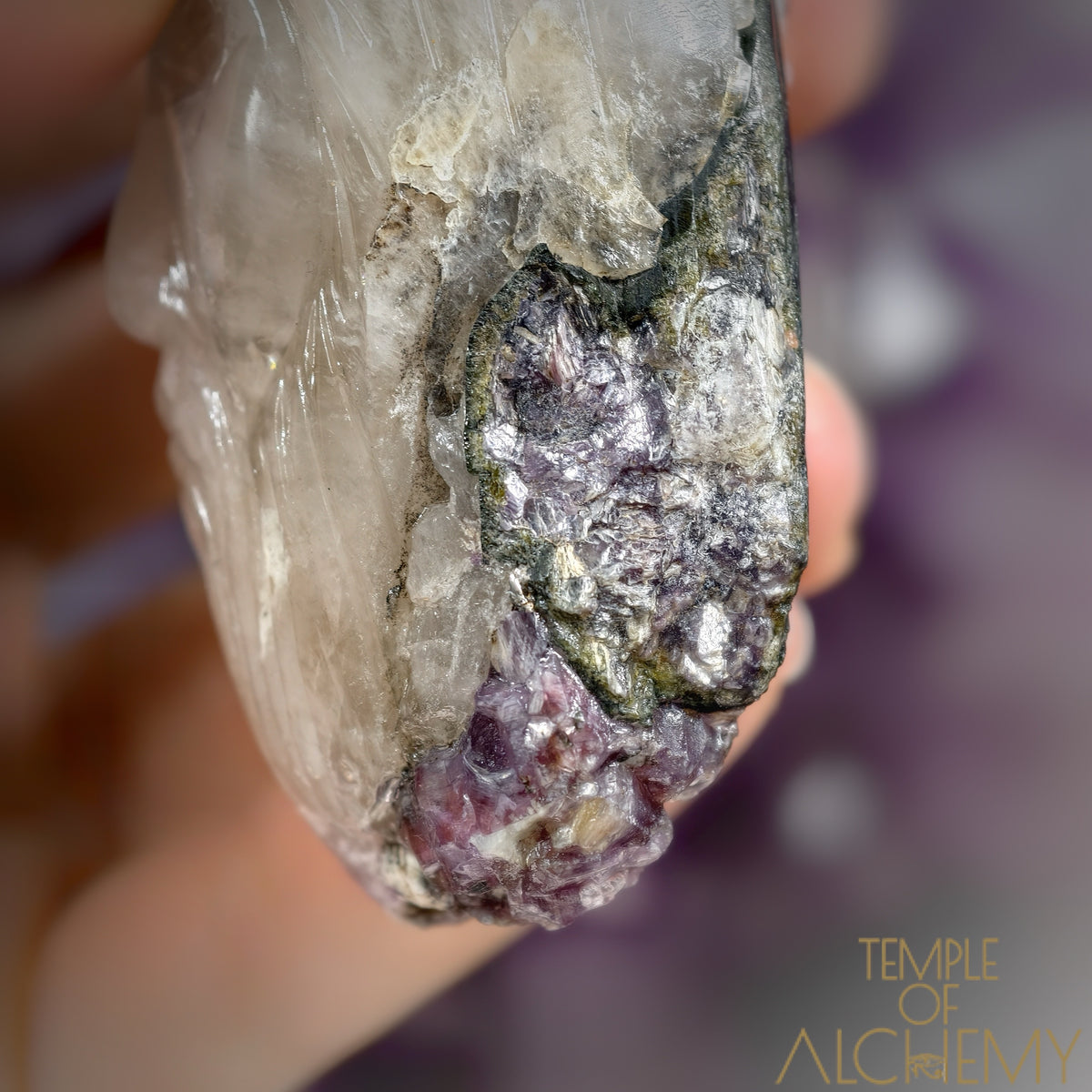 Citrine x Watermelon Tourmaline