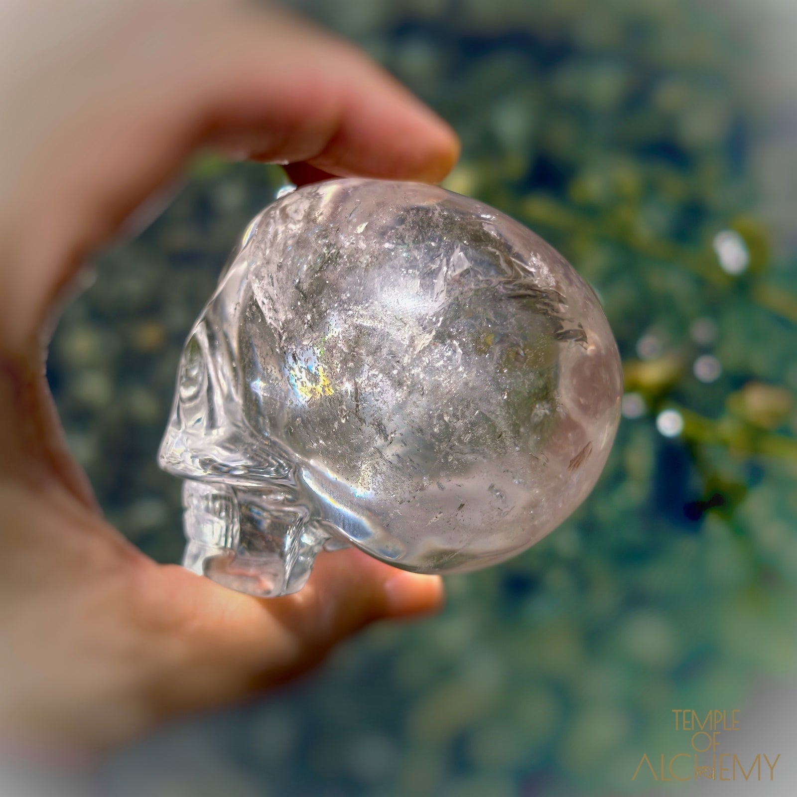 Lemurian
