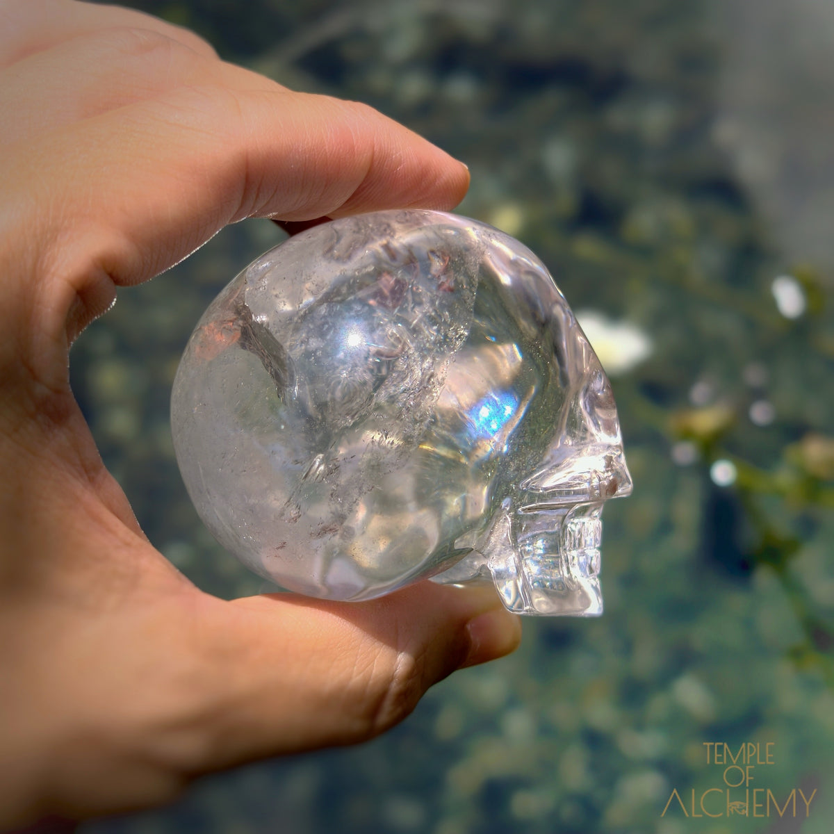 Lemurian