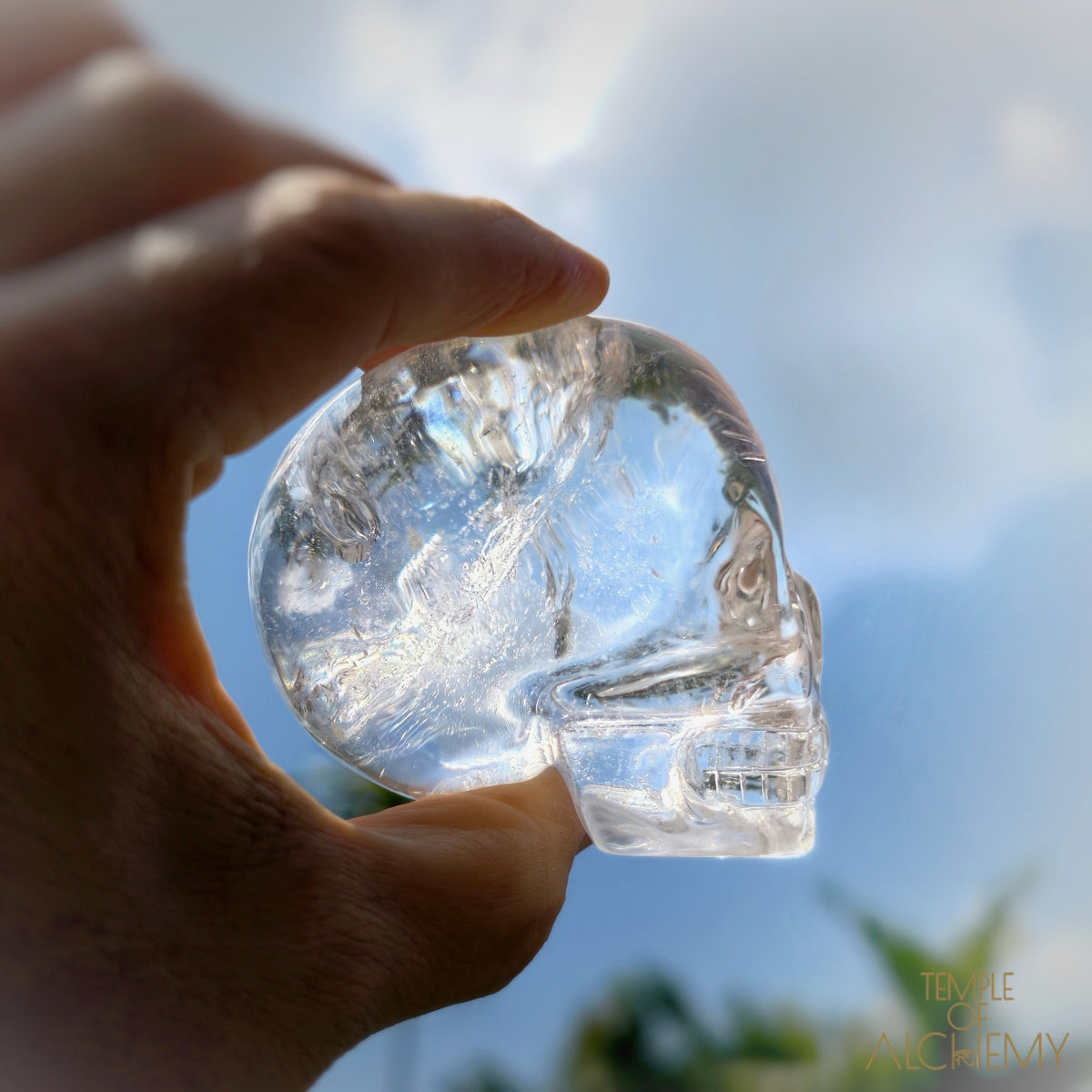 Lemurian