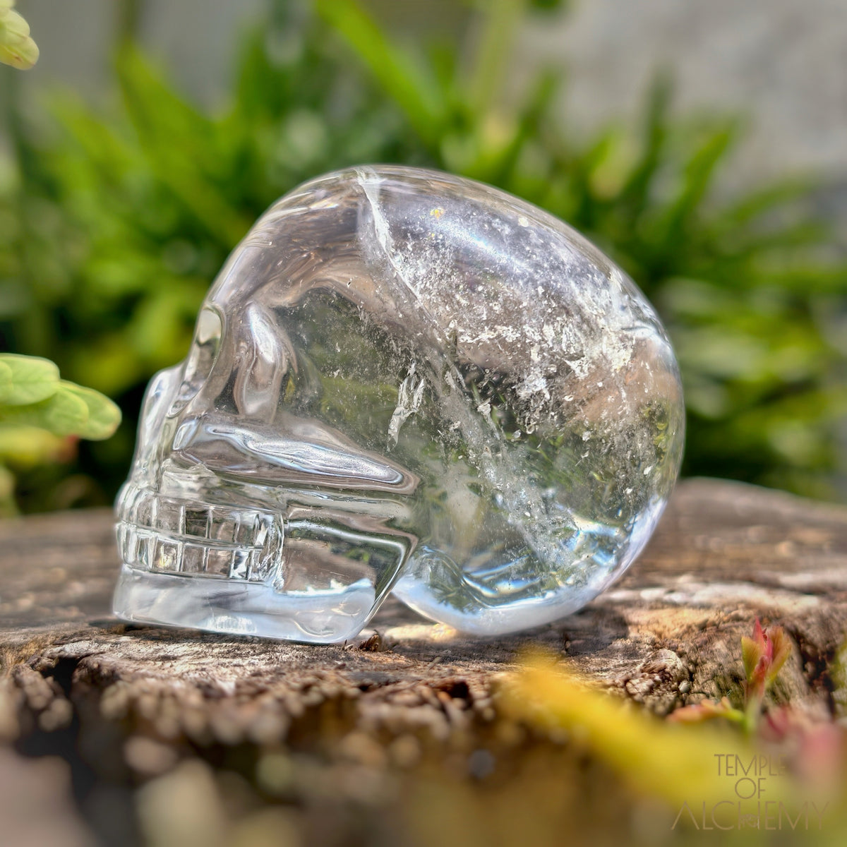 Lemurian