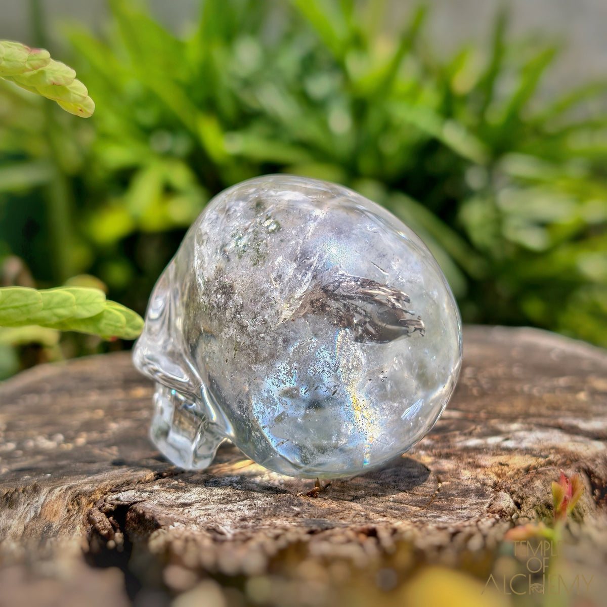 Lemurian