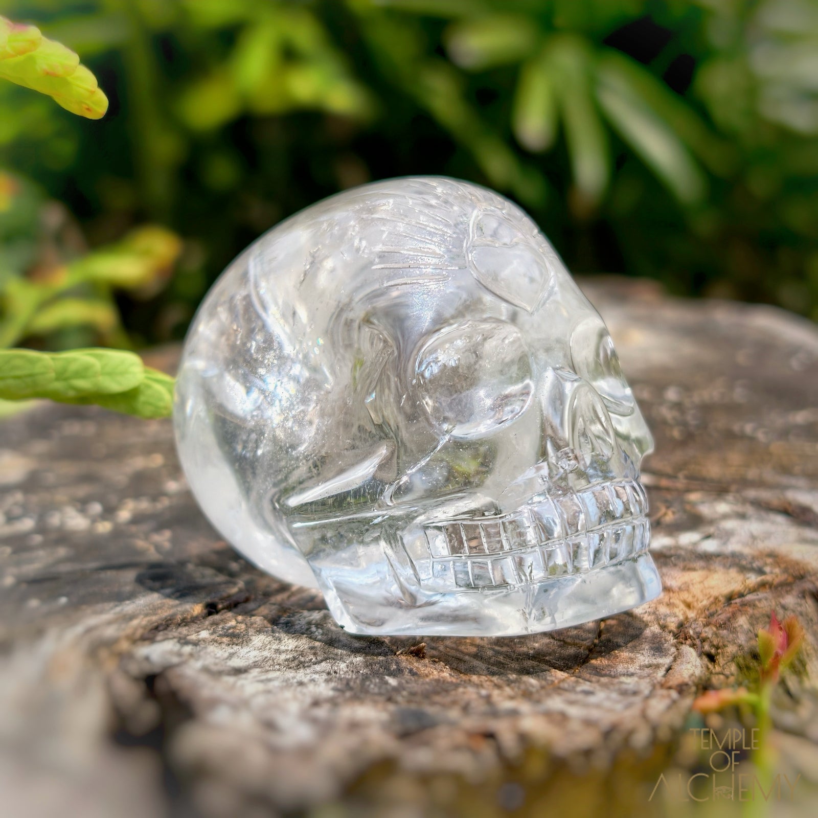 Lemurian