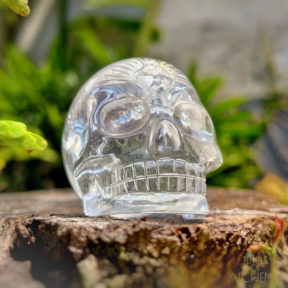 Lemurian