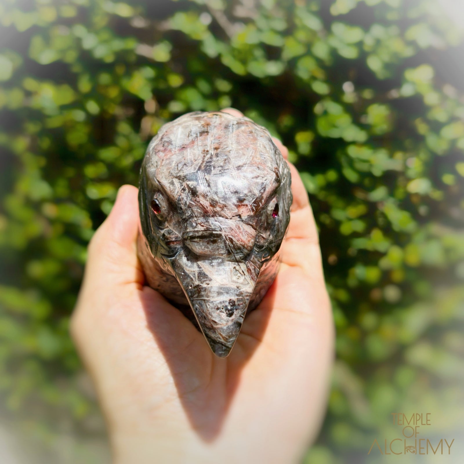 Fascia Jasper