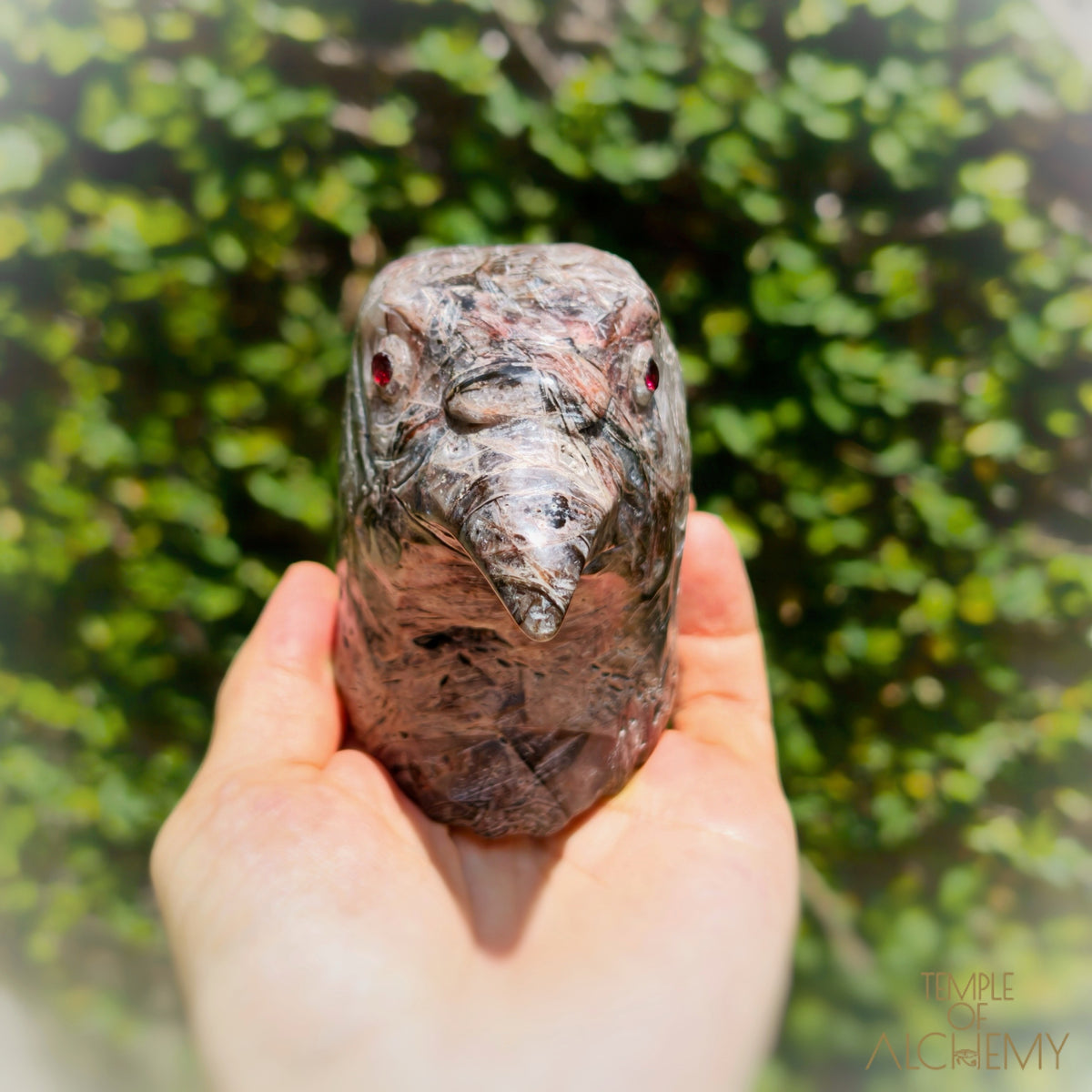 Fascia Jasper