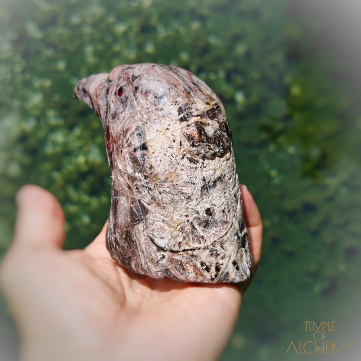 Fascia Jasper