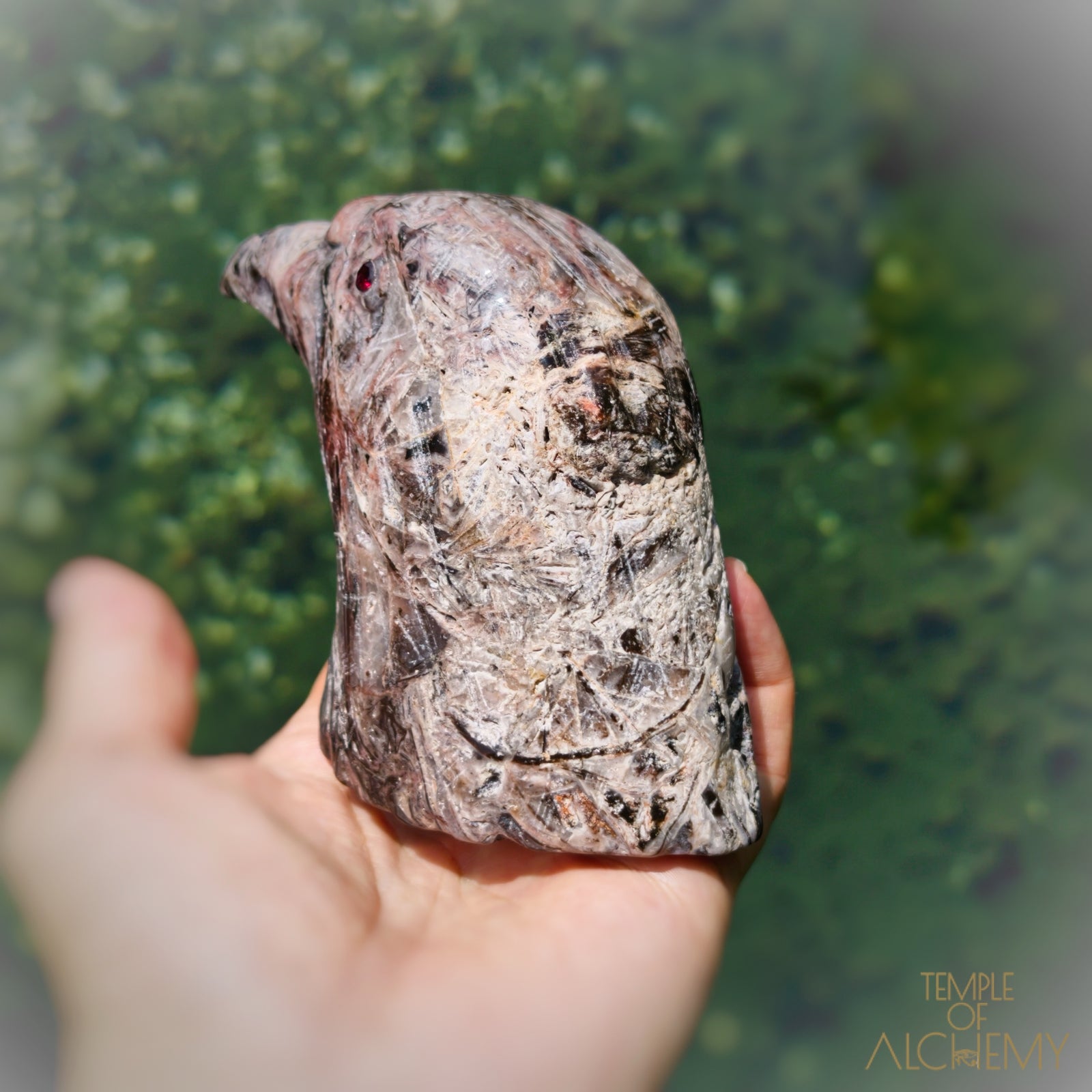 Fascia Jasper