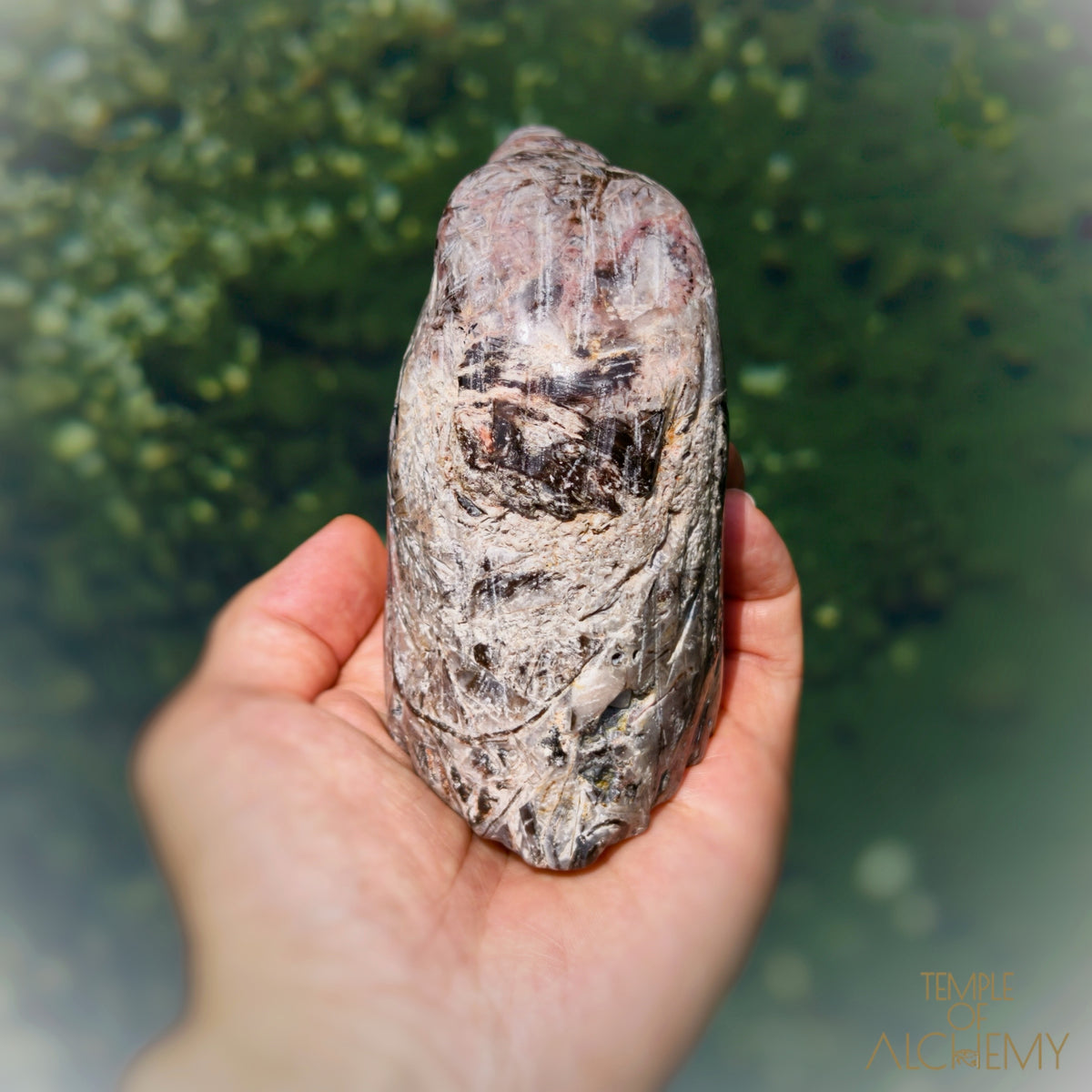 Fascia Jasper