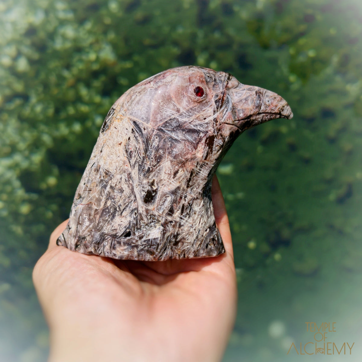 Fascia Jasper