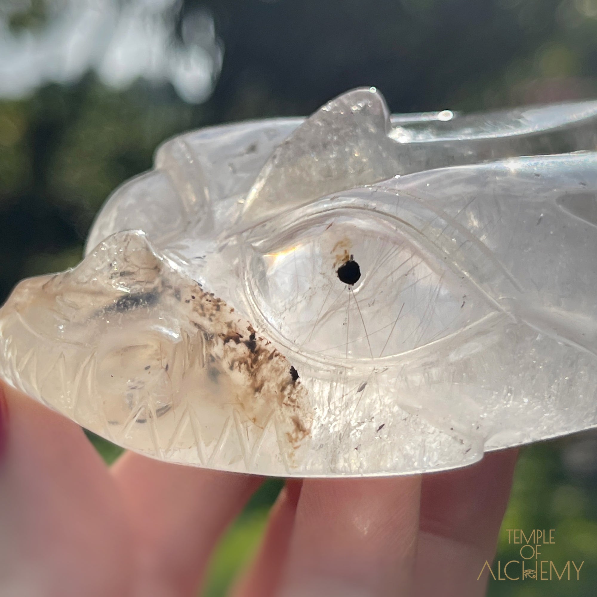 Copper x Silver Rutiles in Clear Quartz