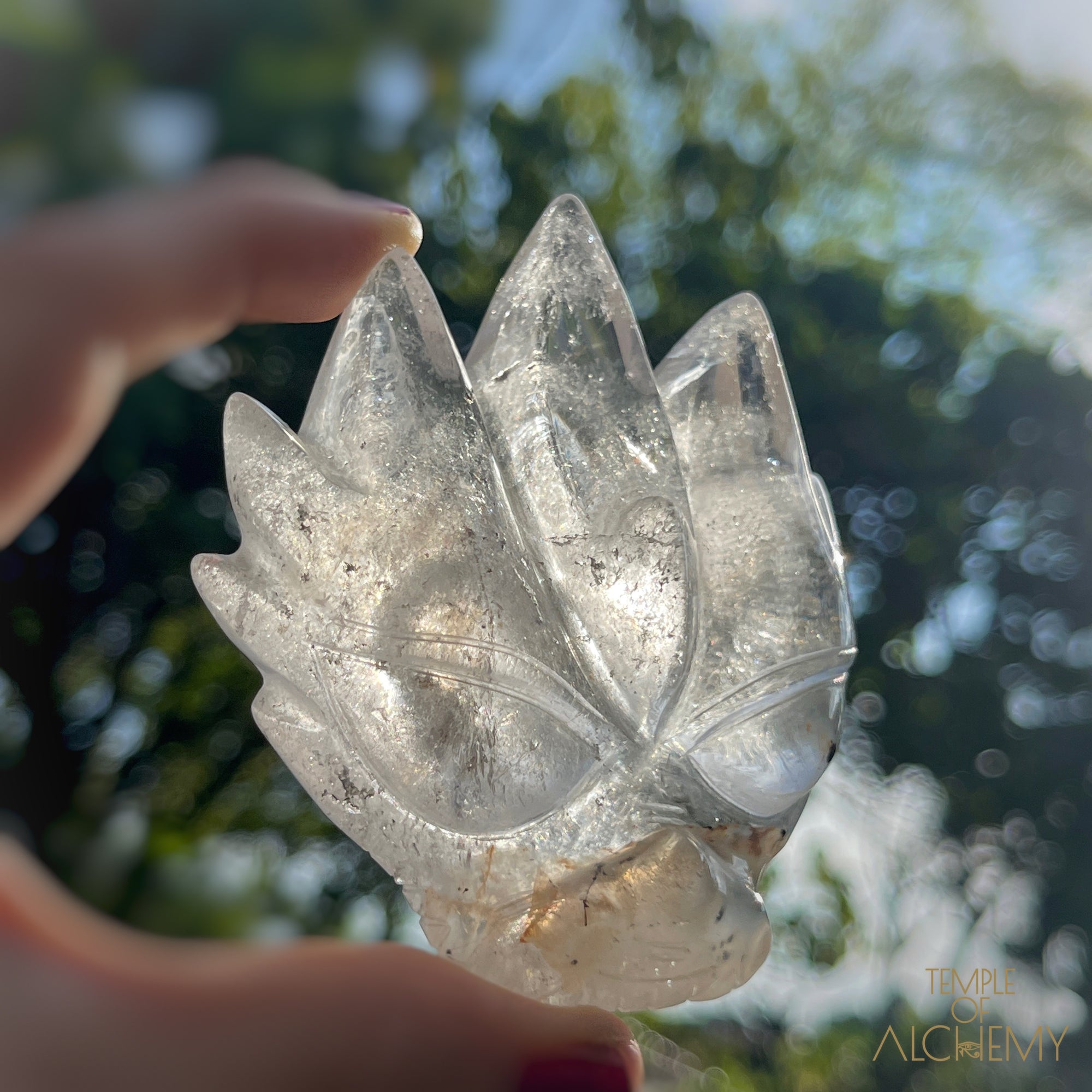 Copper x Silver Rutiles in Clear Quartz