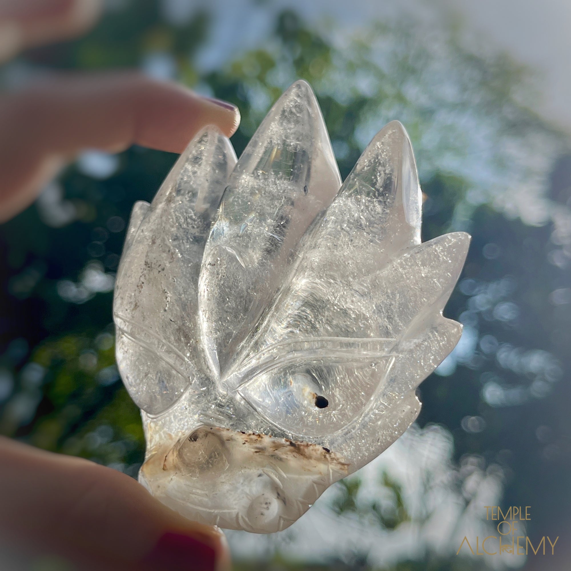 Copper x Silver Rutiles in Clear Quartz