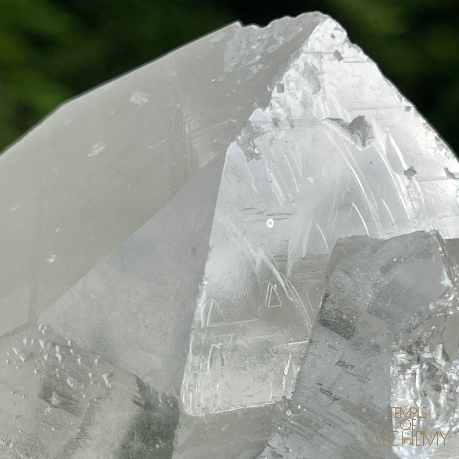 Record Keeper Citrine Cathedral Lightbrary