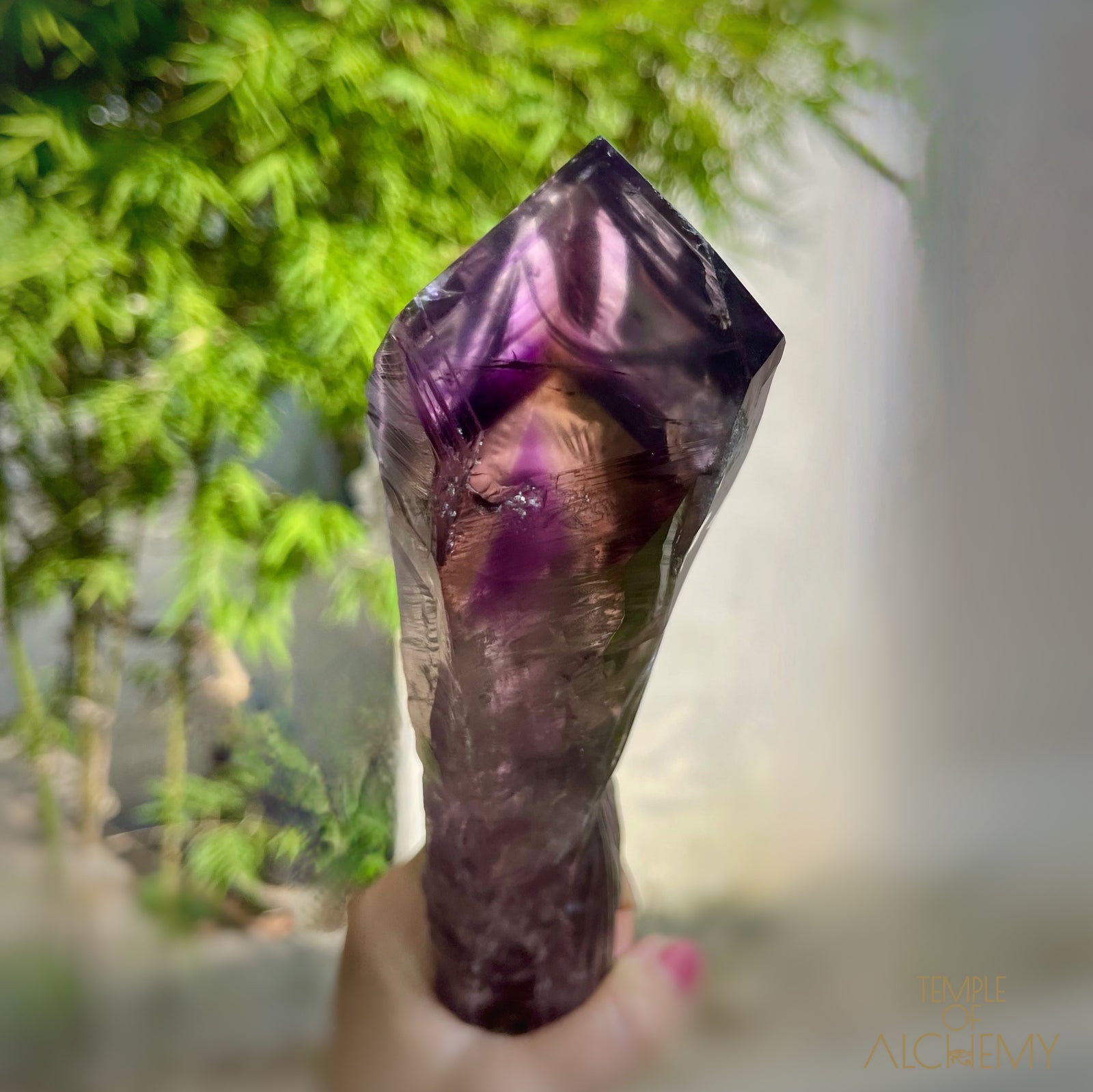 Record Keeper 𓄂♡𓆃 Phantom Ametrine