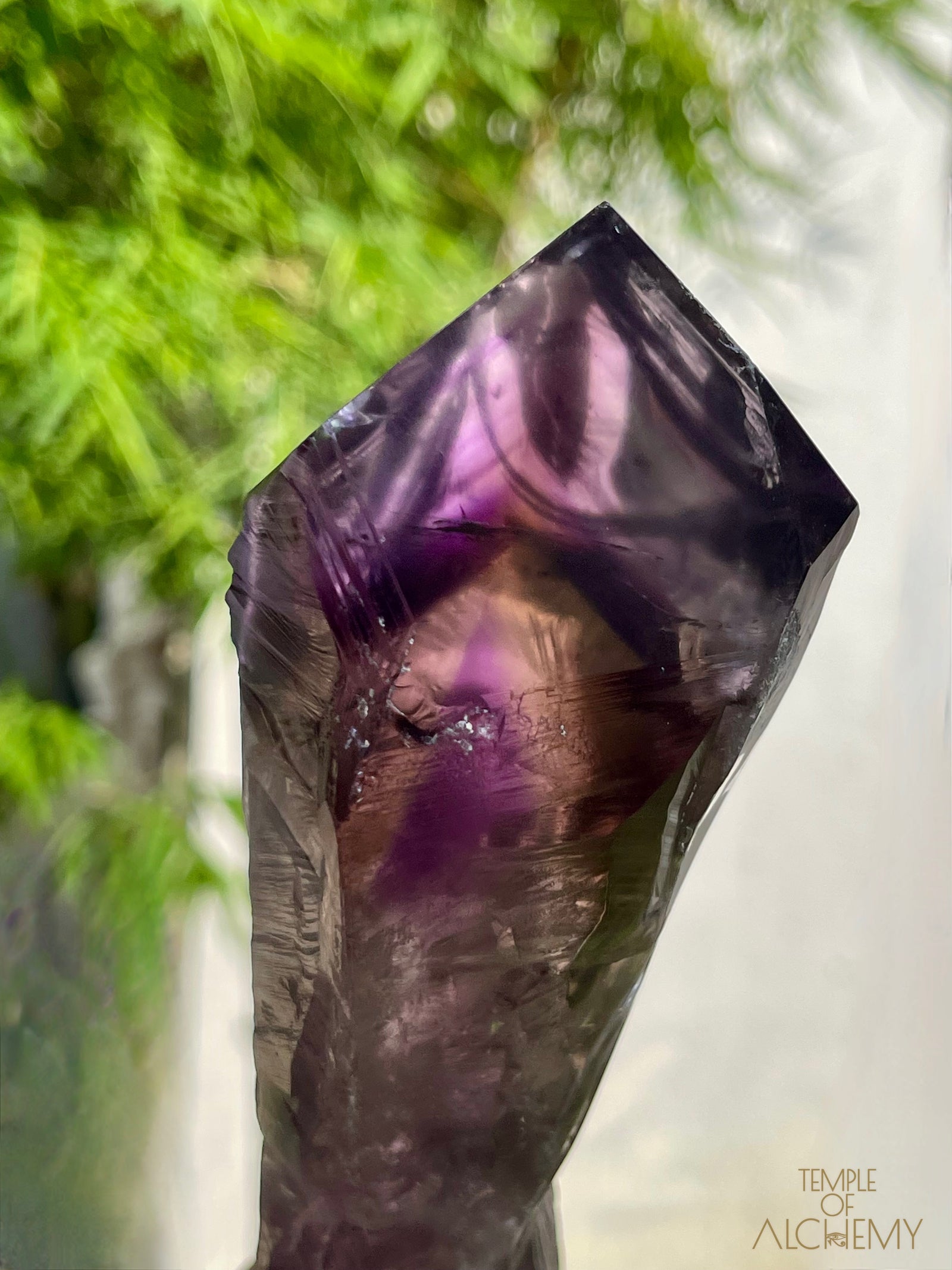 Record Keeper 𓄂♡𓆃 Phantom Ametrine