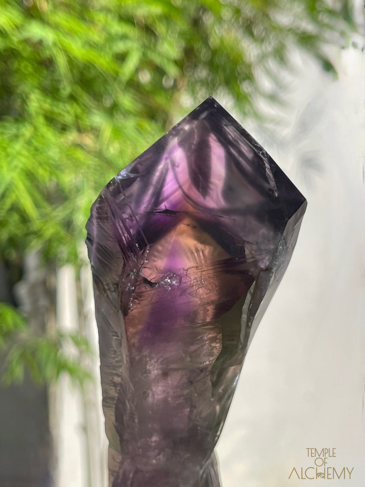 Record Keeper 𓄂♡𓆃 Phantom Ametrine